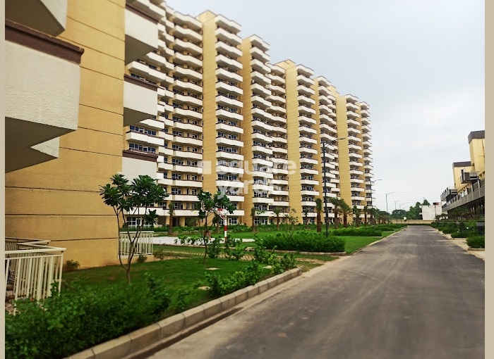 Pyramid Urban Homes 3 in Sector 67A, Gurgaon Price List, Project Info