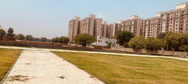 ROF Green Meadows Plot Images