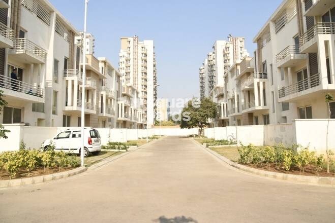 Roots Courtyard Tower View
