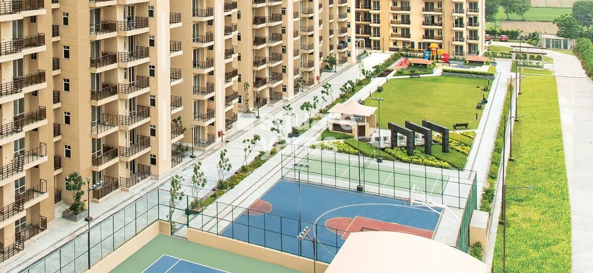 Satya Nora Sports facilities Image