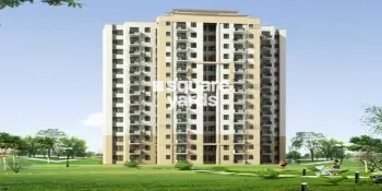 Shree Vardhman Olive