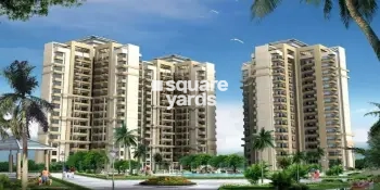 Sidhartha NCR Green