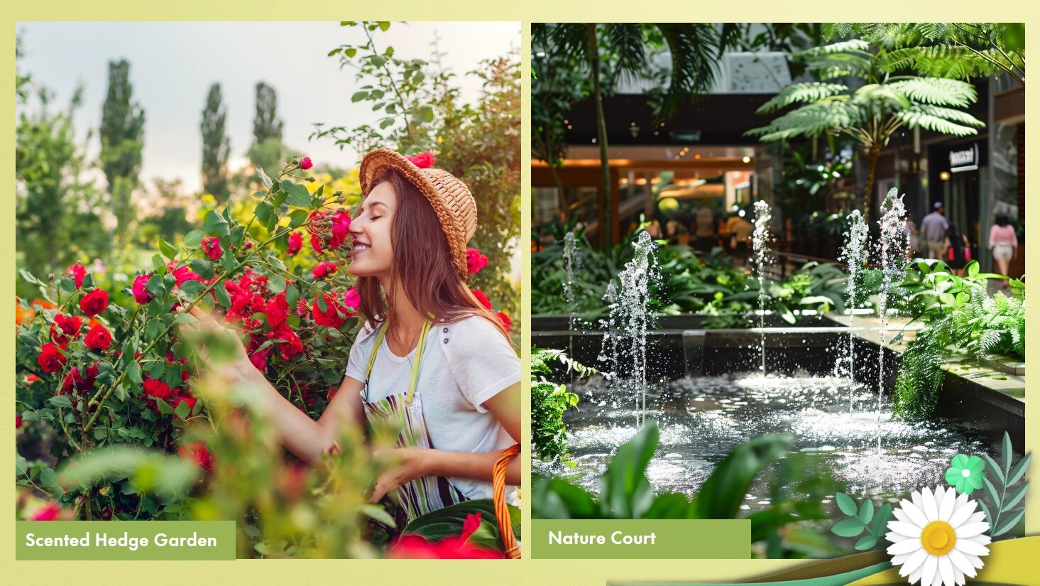 Signature Global Daxin Vistas