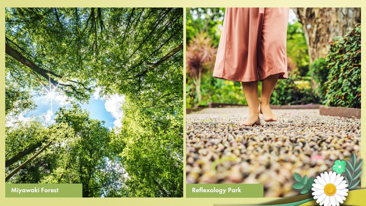 Signature Global Daxin Vistas