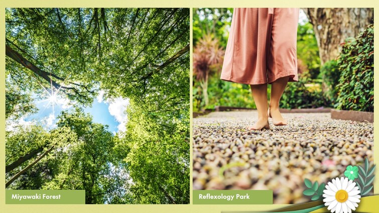 Signature Global Daxin Vistas Amenities-Features 10