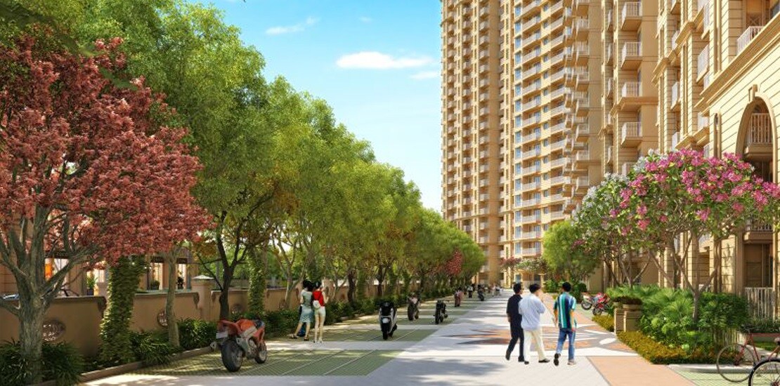 Signature Global Golf Greens