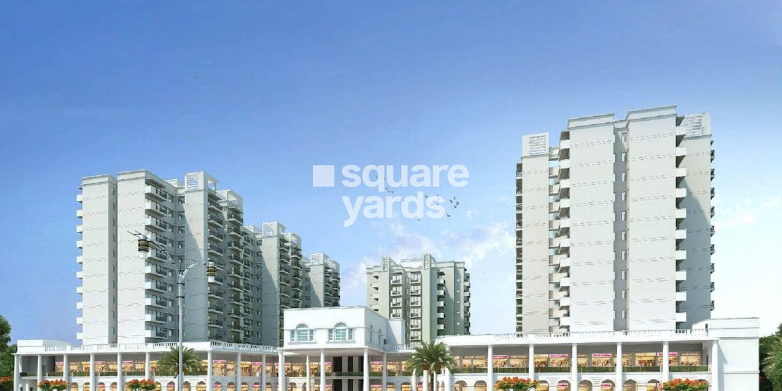 signature-global-signum-71