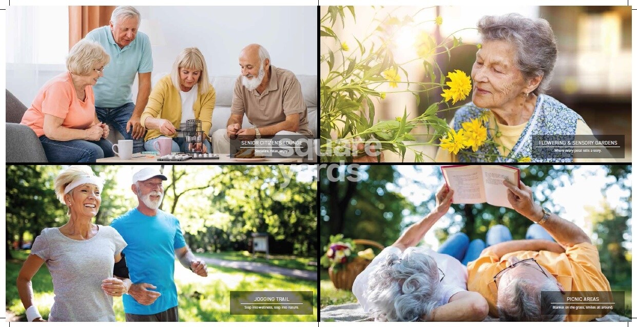 Signature Global Titanium SPR