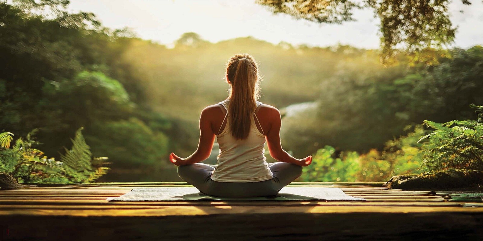 Signature Global Twin Tower DXP