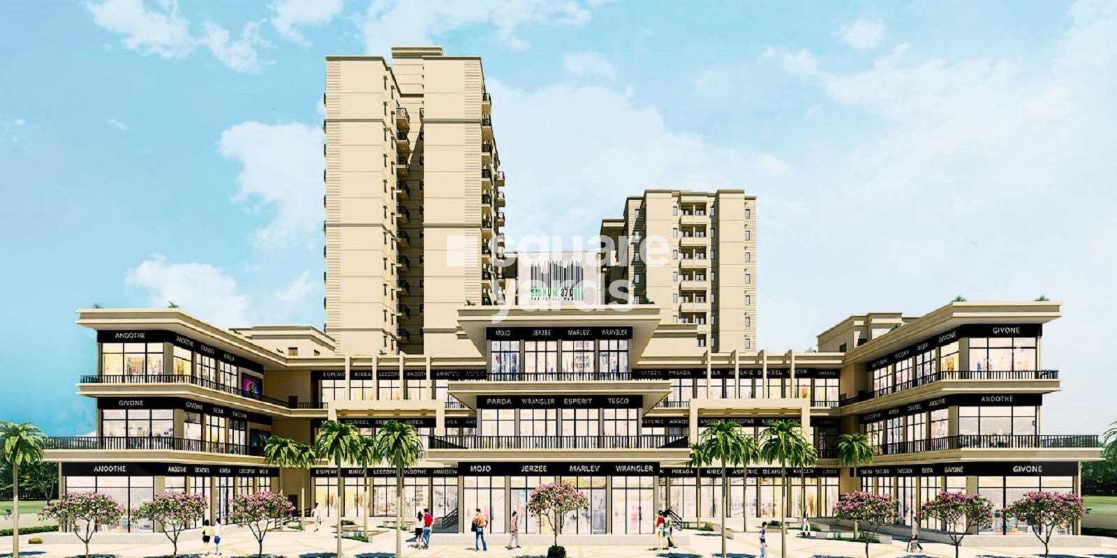 Signature Signum 37D III Featured Image