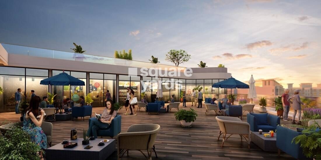 Signature Signum 81 Amenities-Features