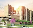 Signature The Millennia 3