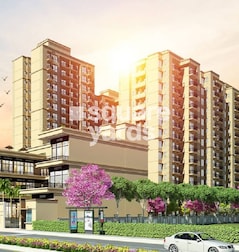 Signature The Millennia 3 Signature The Millennia 3