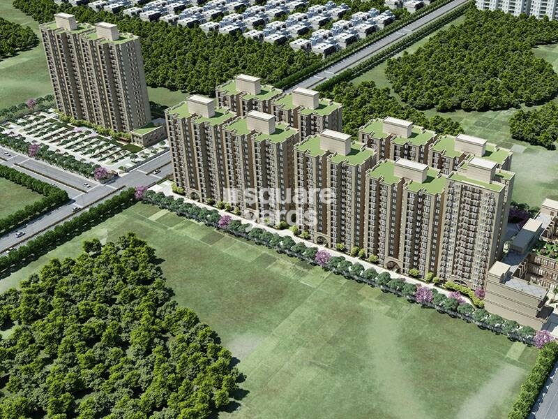 Signature The Millennia 3