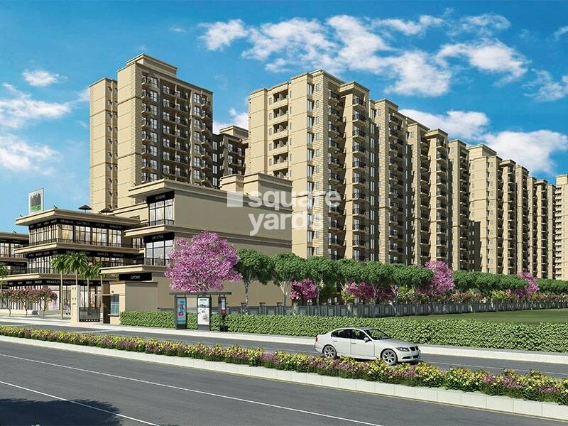 Signature The Millennia 3