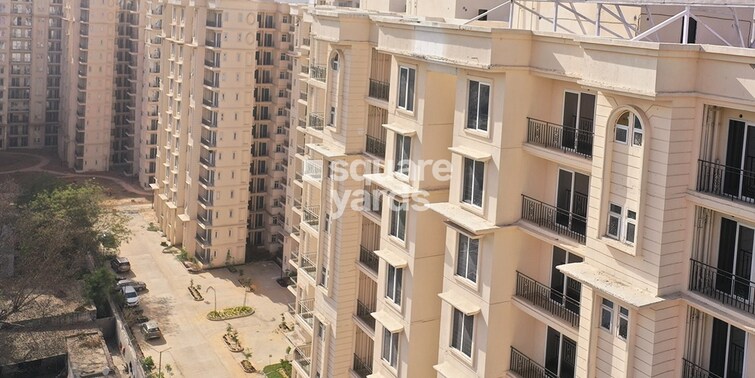 Signature The Serenas Amenities-Features 2