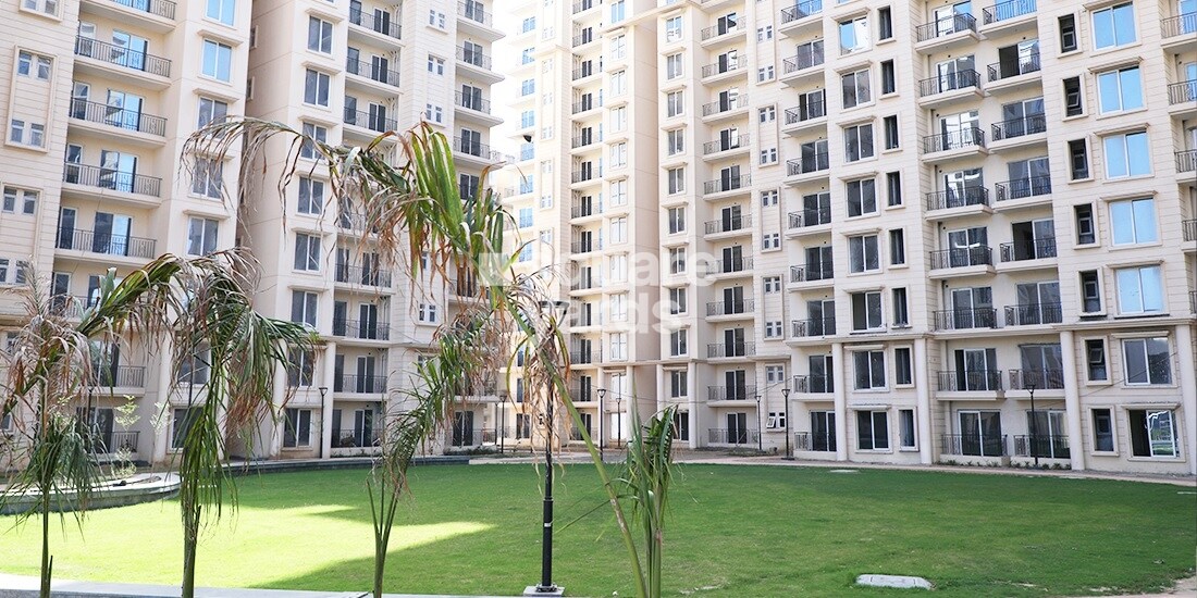 Signature The Serenas Amenities-Features 3