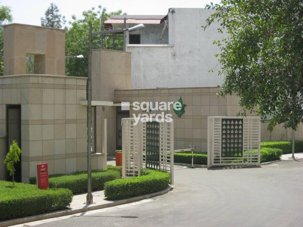 Silverglades The Ivy