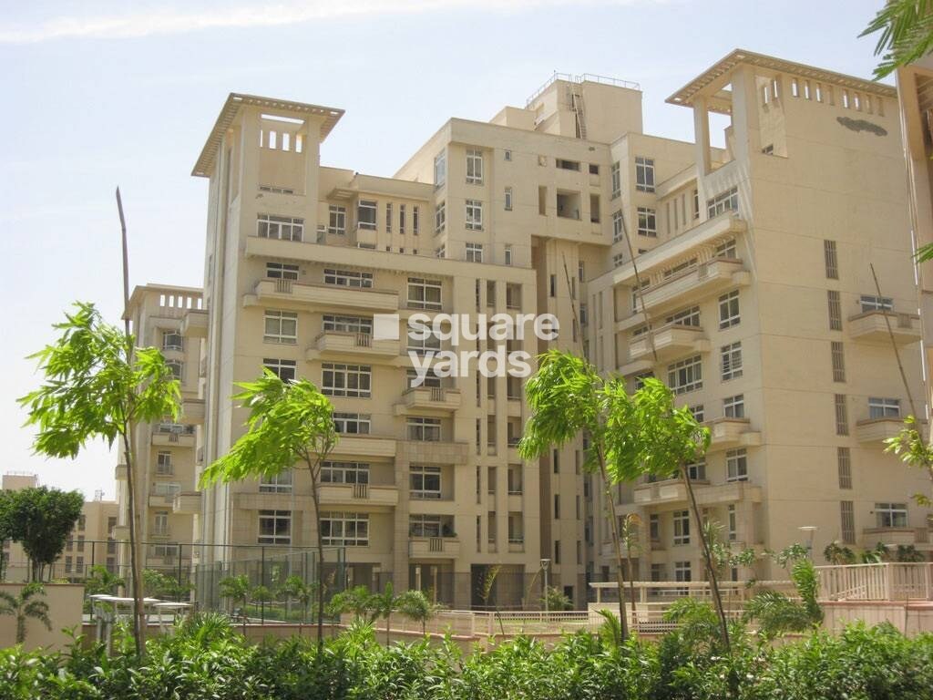 Silverglades The Ivy Tower View