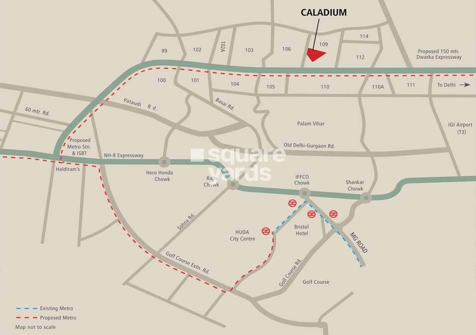 Solutrean Caladium Location Image