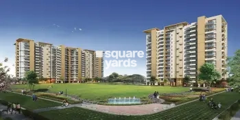 Spire Woods Project Thumbnail Image