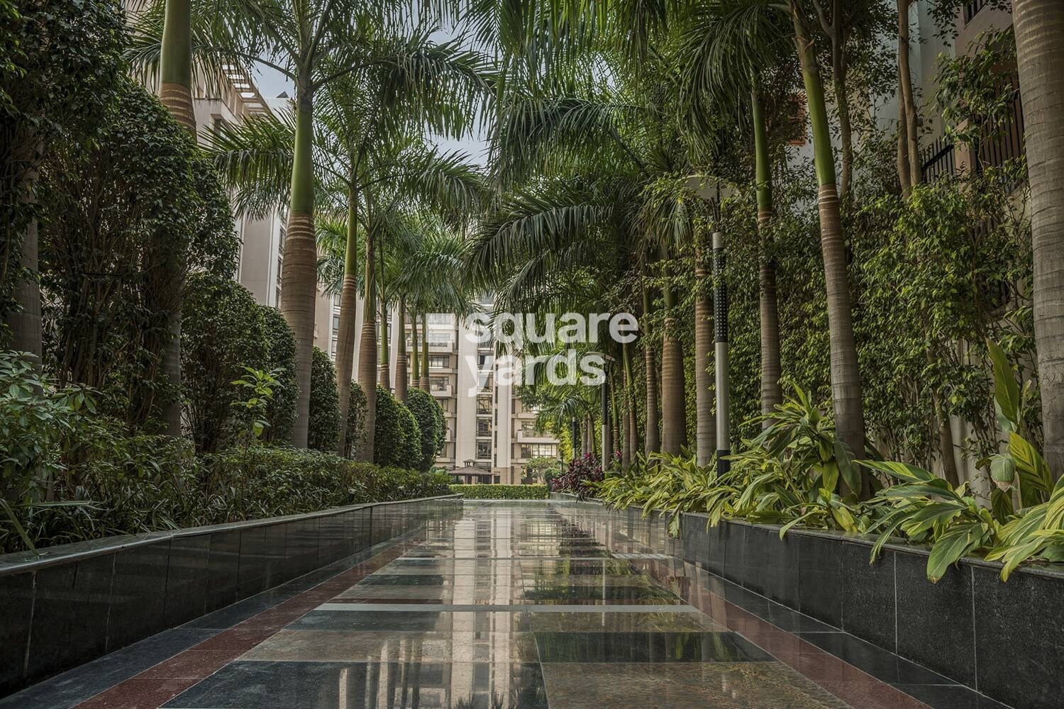 SS Hibiscus Amenities-Features 3