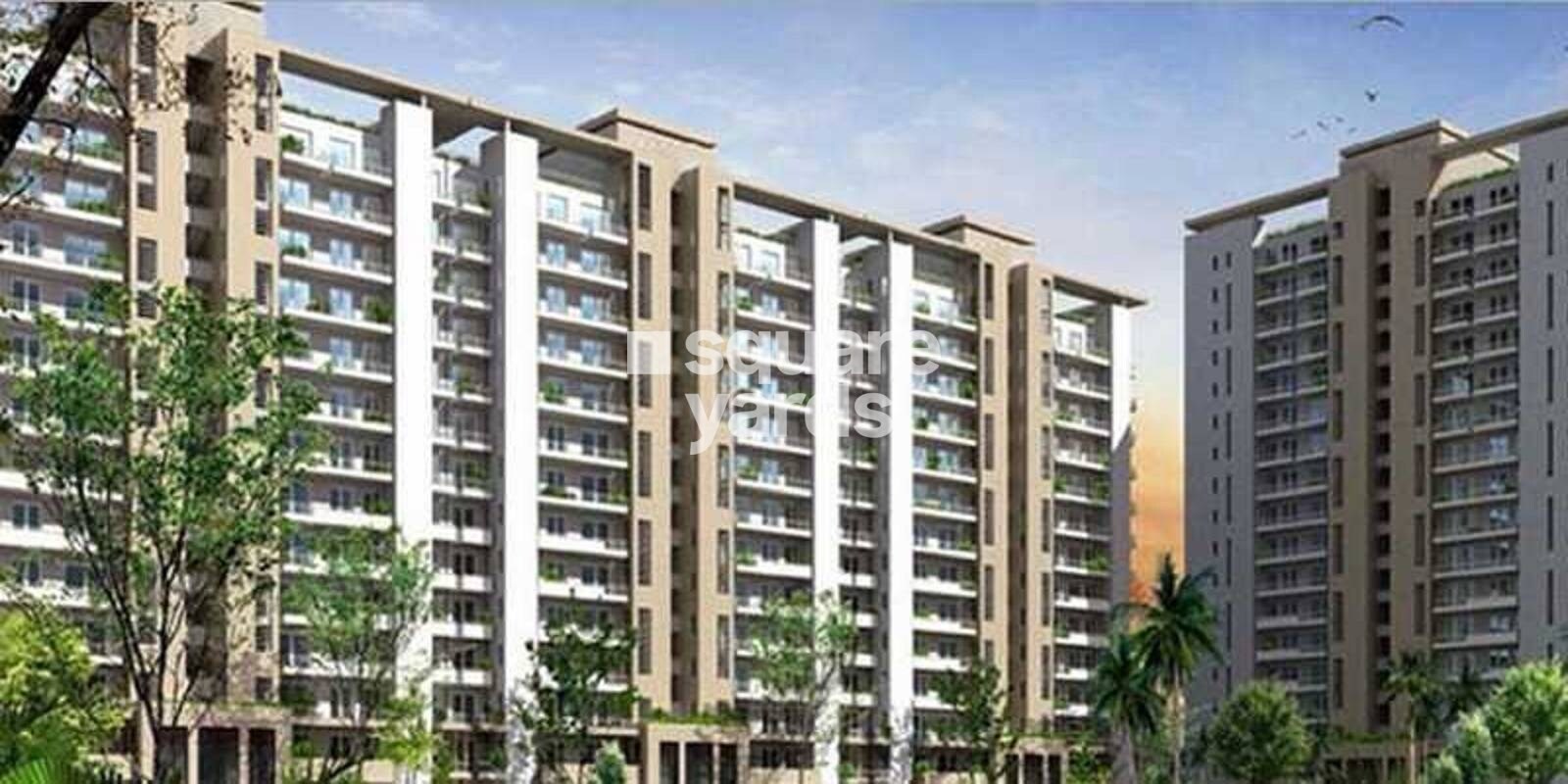 SS Mayfield Gardens, Sector 51, Gurgaon