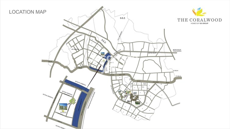 SS The Coralwood Location Image