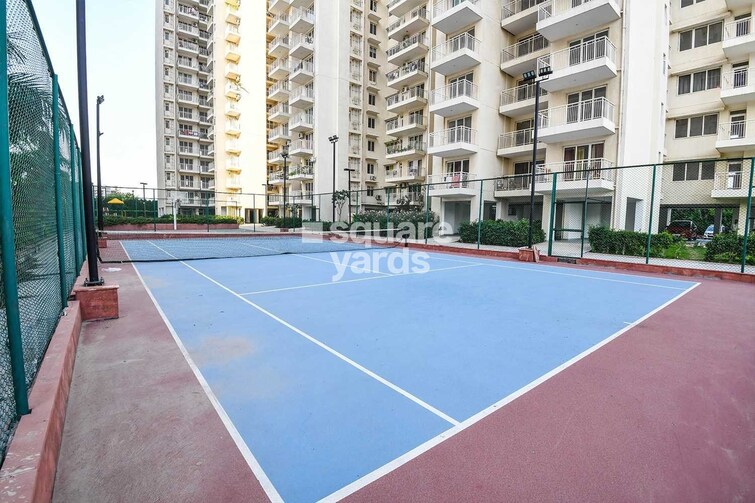 SS The Coralwood Sports facilities Image 3