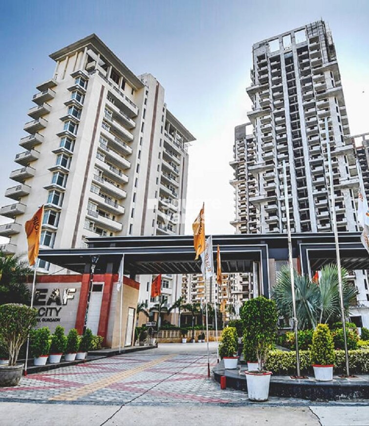 SS The Leaf Tower View 6