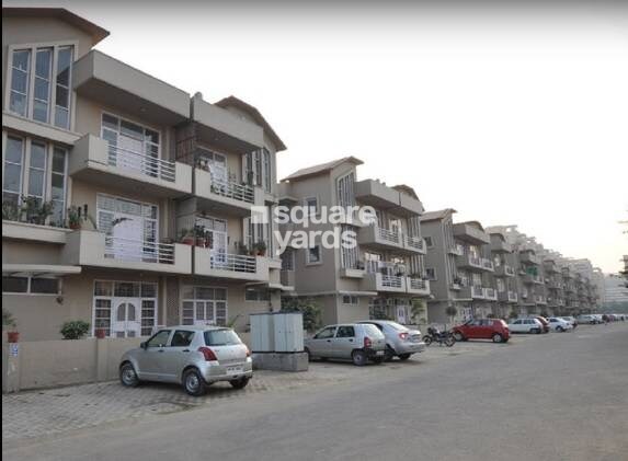 SS The Lilac Tower View