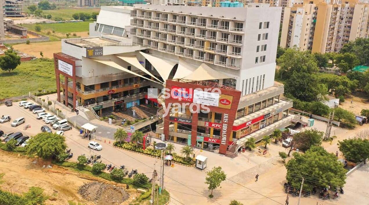 Trehan Iris Broadway