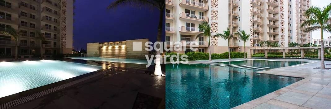 Tulip Ivory Amenities-Features 1