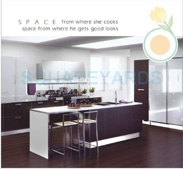 Tulip Ivory Apartment Interiors 1