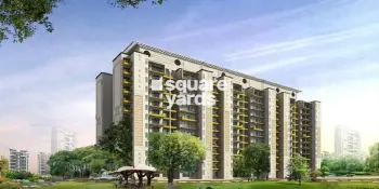 Tulip Ivory Project Thumbnail Image