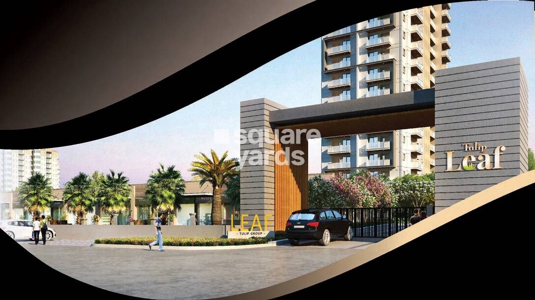 Tulip Leaf Entrance View 1