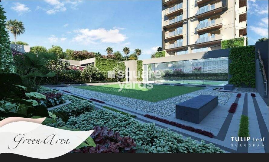 Tulip Leaf Greens Image