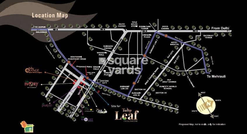 Tulip Leaf Location Image