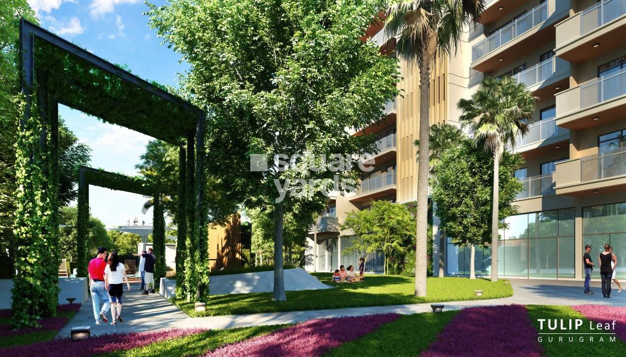 Tulip Leaf Amenities-Features 4