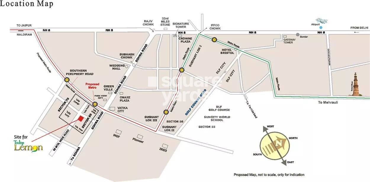 Tulip Lemon Location Image