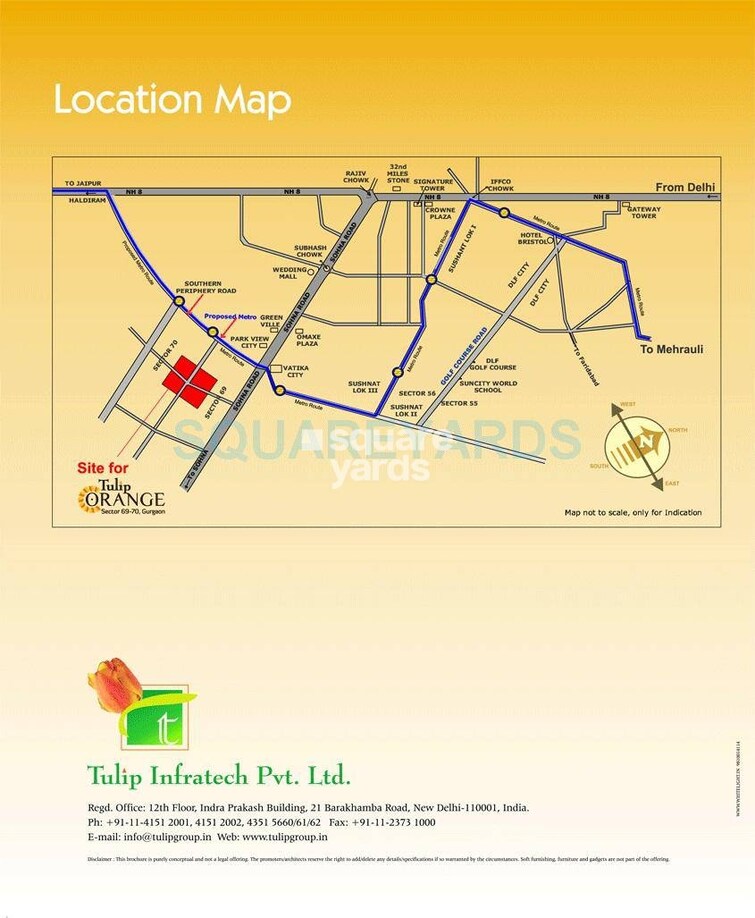 Tulip Orange Location Image