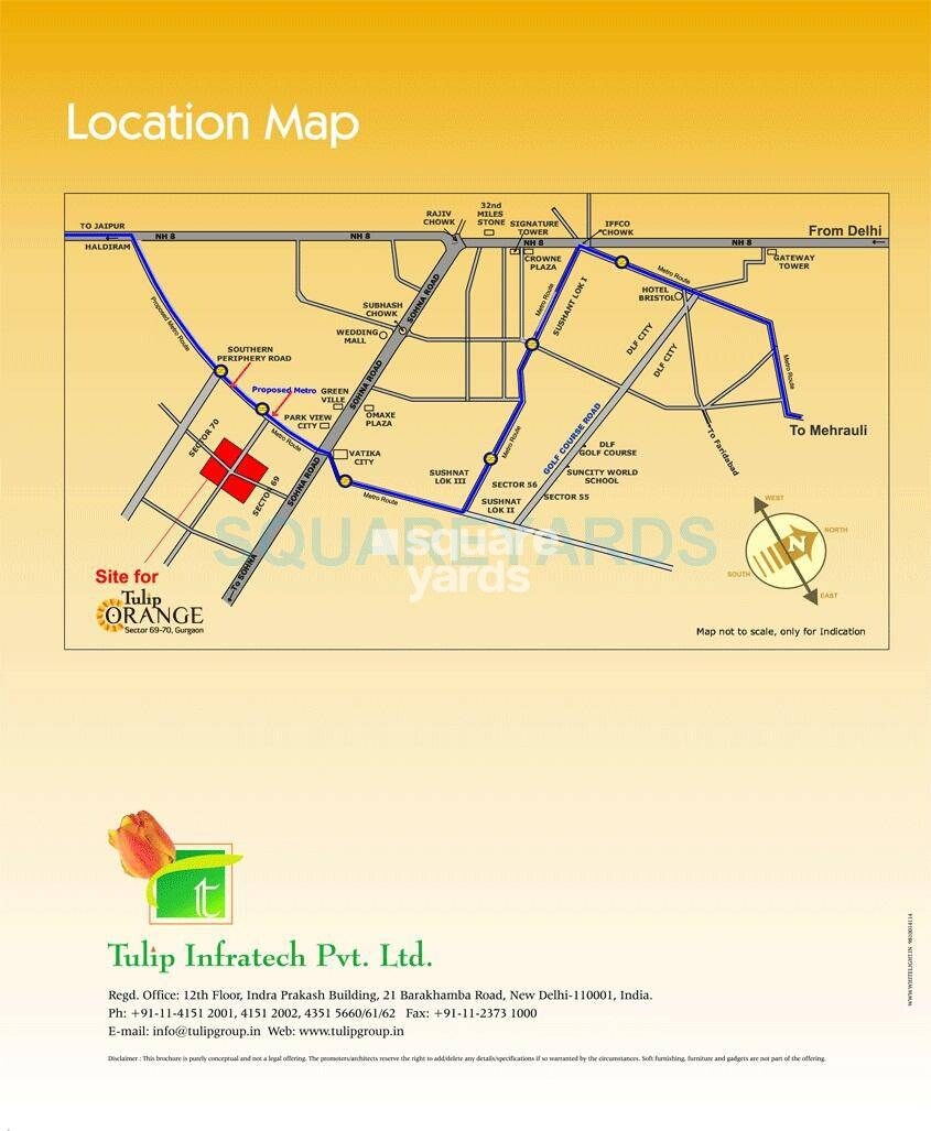 Tulip Orange Location Image