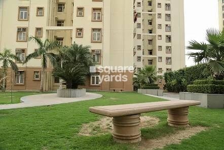 Tulip Orange Amenities-Features 1