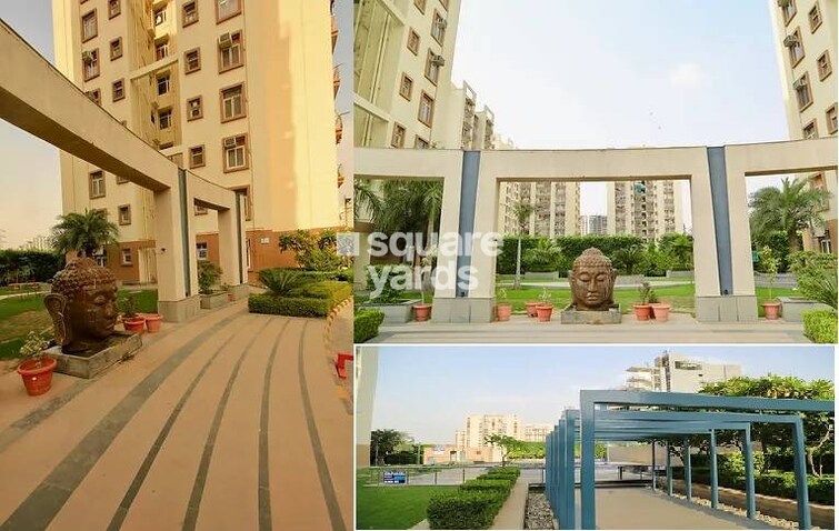 Tulip Orange Amenities-Features 2