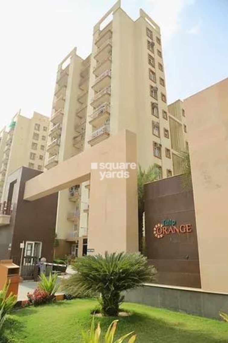 Tulip Orange Tower View 2