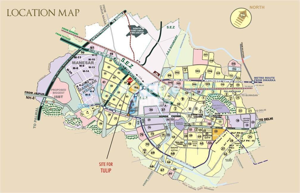 Tulip Petals Location Image