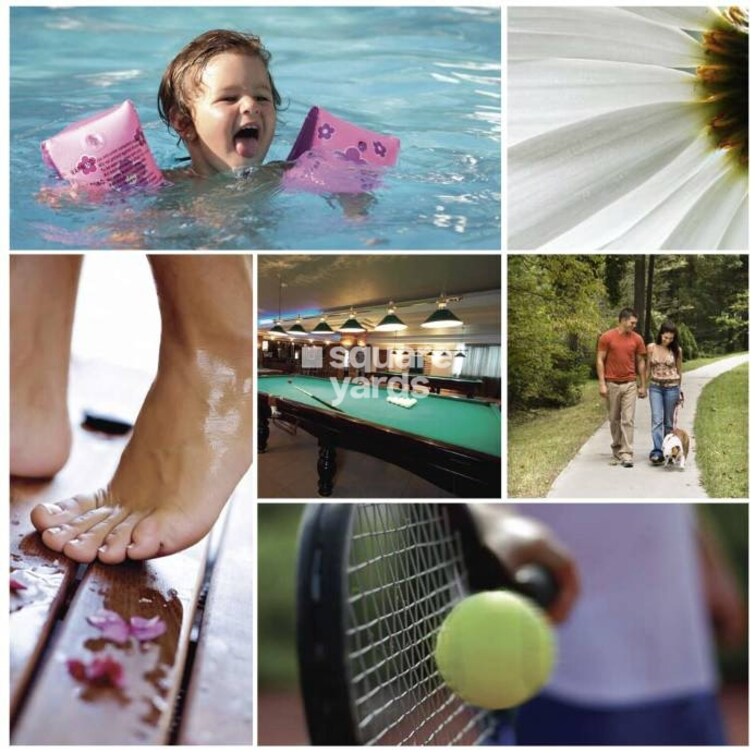 Tulip Petals Amenities-Features