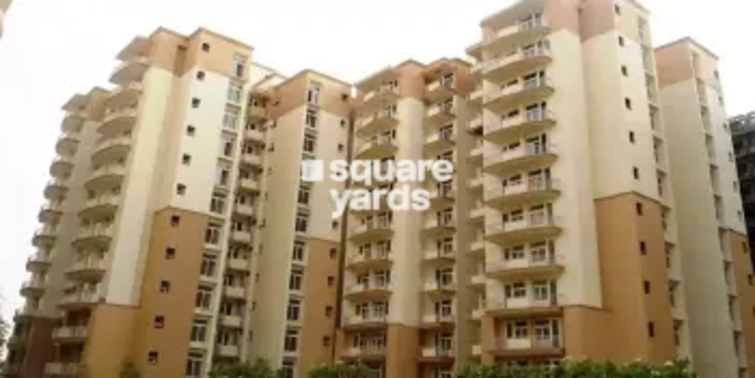 Tulip Petals Project Thumbnail Image