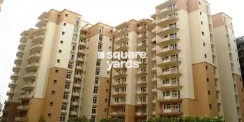 Tulip Petals Project Thumbnail Image