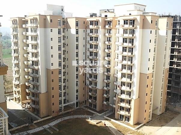 Tulip Petals Tower View 3